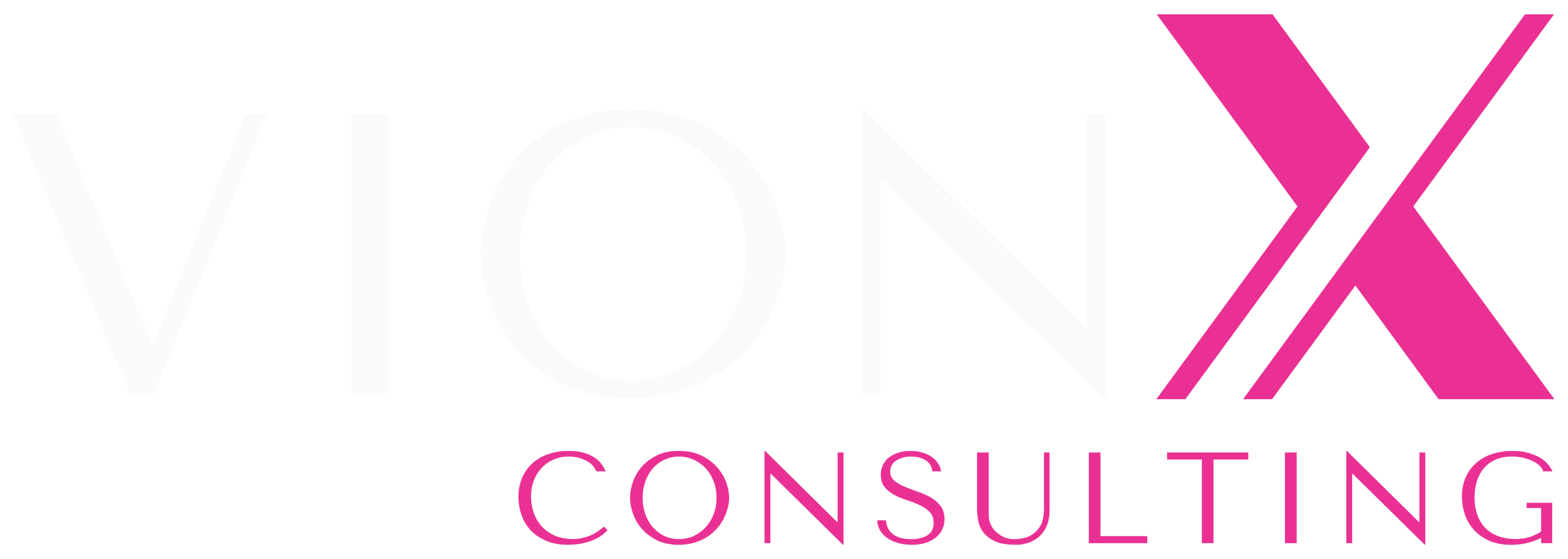 VionX Consulting